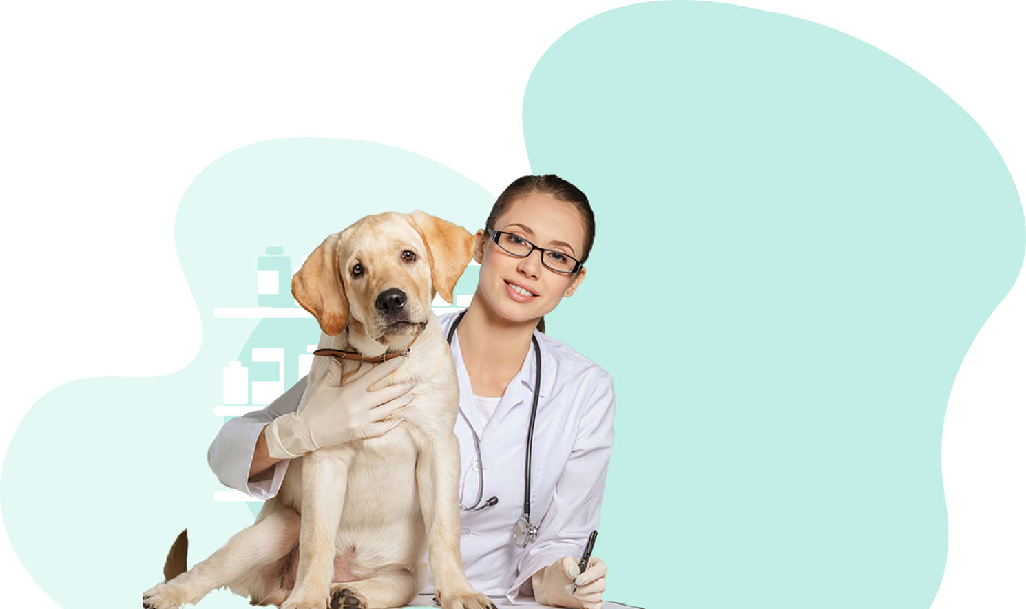 Vet